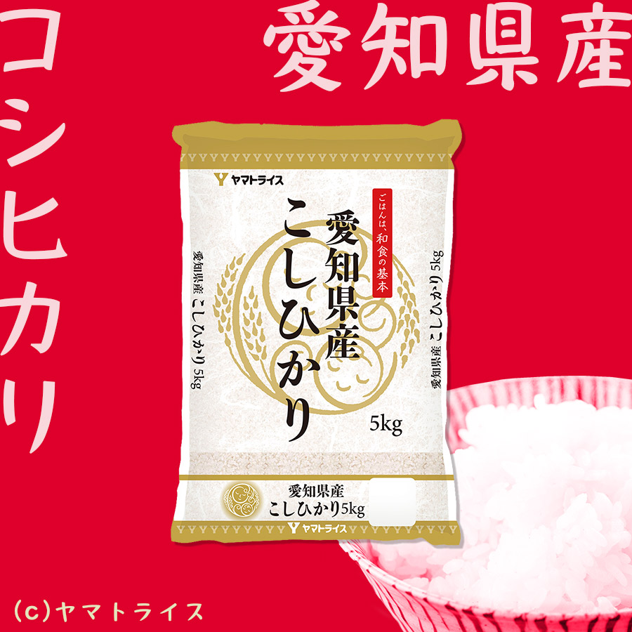 コシヒカリ 愛知県産 白米 20kg（5kg×4袋） 米 お米