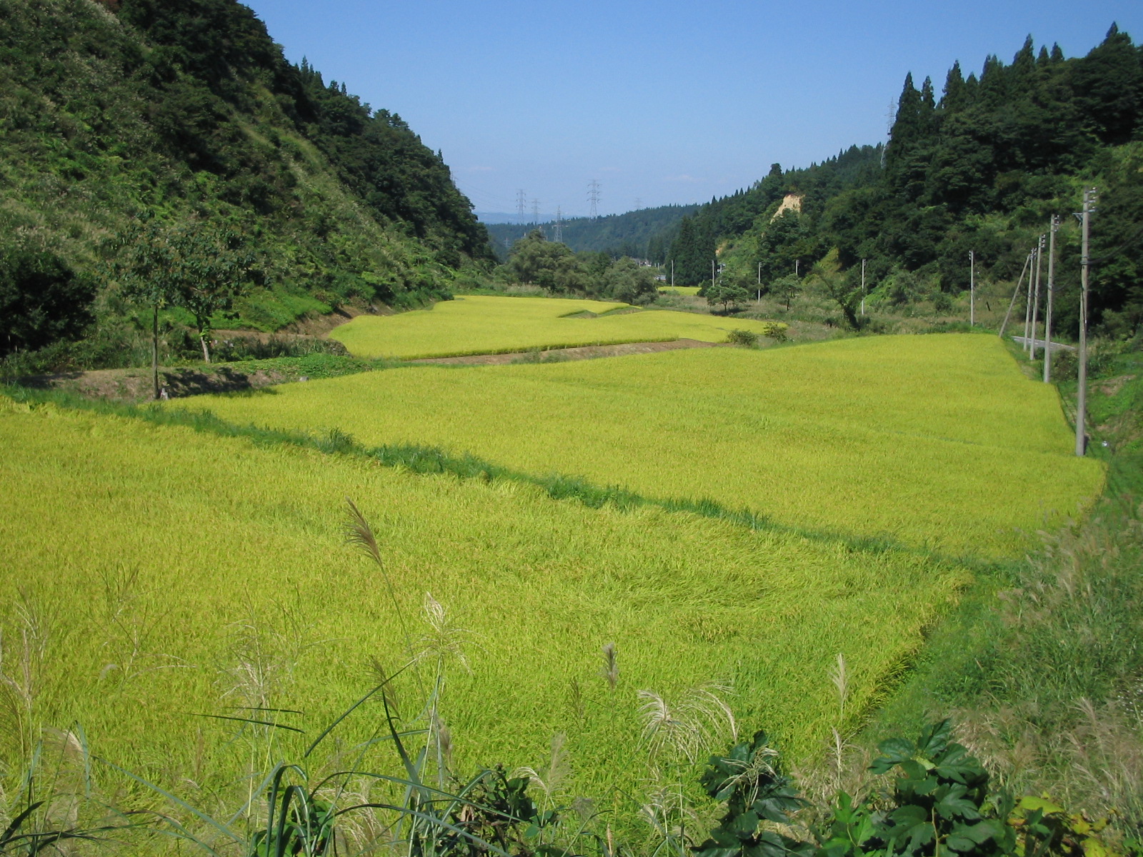 北海道風景1